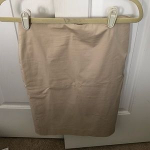 Ann Taylor skirt